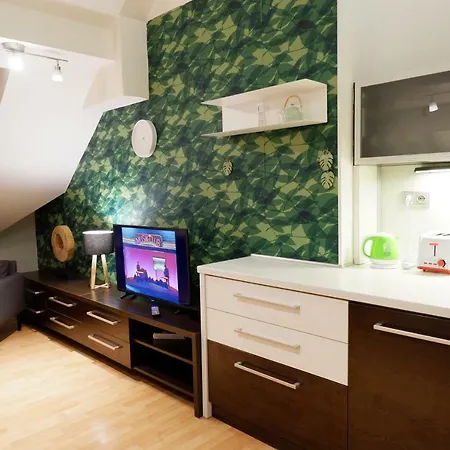 Wonderful View With Terrace In The City Centre Apartament *